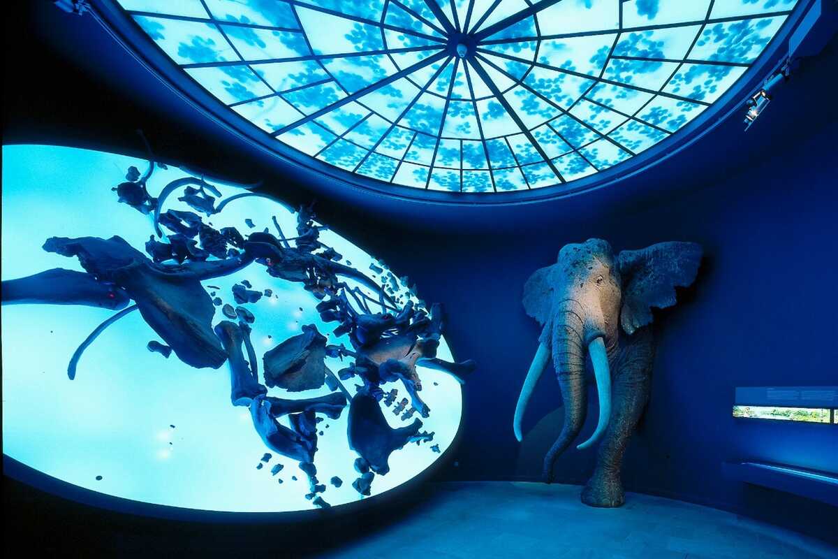 Innenraum Landesmuseum für Vorgeschichte Innenraum Landesmuseum für Vorgeschichte